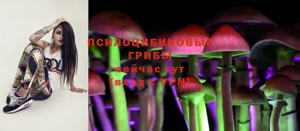 спиды Белоозёрский