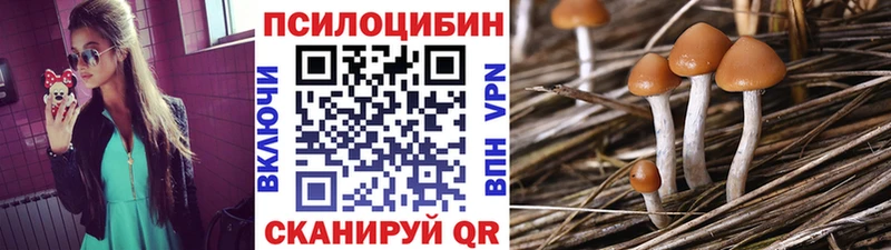 мега наркотики Коммунар Псилоцибиновые грибы мицелий